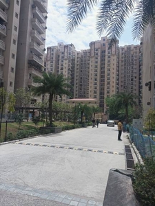 1180 sq ft 2 BHK 2T Apartment for rent in Amrapali Silicon City at Sector 76, Noida by Agent Shri Ram Real Estate