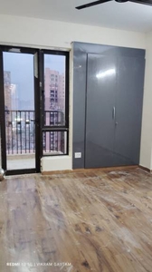1195 sq ft 2 BHK 2T Apartment for rent in Paramount Floraville at Sector 137, Noida by Agent Maharana associate