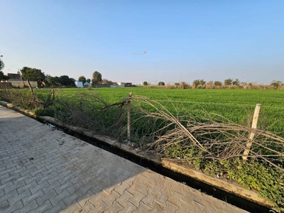 1296 sq ft Plot for sale at Rs 1.75 crore in Project in Yeida, Noida