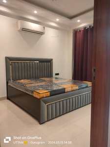 1600 sq ft 2 BHK 2T BuilderFloor for rent in Project at Sector 51, Gurgaon by Agent Kapil
