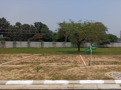179 sq ft Plot for sale at Rs 1.16 crore in Rambha Corona Greens in Sector 5 Sohna, Gurgaon