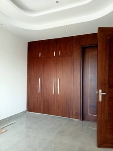 2300 sq ft 3 BHK 3T Apartment for rent in DLF Alameda at Sector 73, Gurgaon by Agent Urban Homes Builder Developers