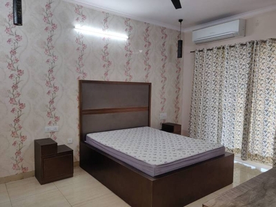 2800 sq ft 3 BHK 3T IndependentHouse for rent in Project at Sector 46, Noida by Agent Noida property mart