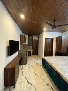 450 sq ft 1RK 1T Apartment for rent in DLF Phase 3 at Sector 24, Gurgaon by Agent Naveen