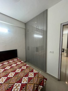 635 sq ft 2 BHK 1T Apartment for rent in Suncity Avenue 76 at Sector 76, Gurgaon by Agent Shree ji Associate