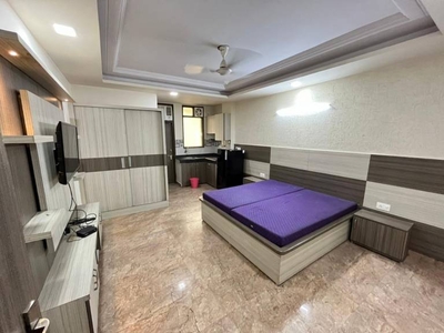 650 sq ft 1RK 1T Apartment for rent in Project at Sector 24, Gurgaon by Agent Naveen