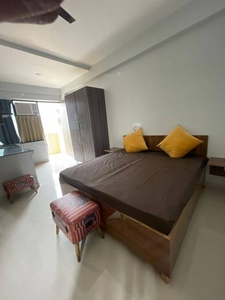 650 sq ft 1RK 1T BuilderFloor for rent in Project at Sector 52, Gurgaon by Agent seller