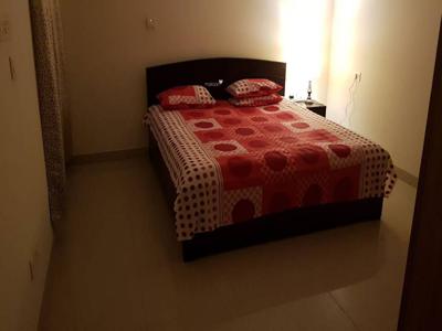 1642 sq ft 3 BHK 3T Apartment for rent in Dhoot Time Residency at Sector 63, Gurgaon by Agent Realty Ventures