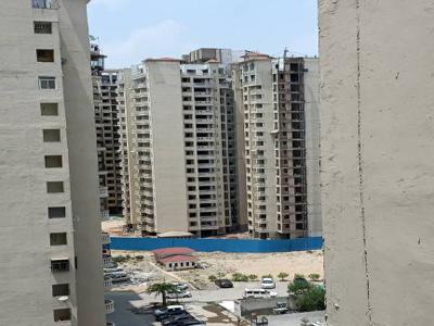 875 sq ft 2 BHK 2T Apartment for rent in Amrapali Princely Estate at Sector 76, Noida by Agent Saurabh properties