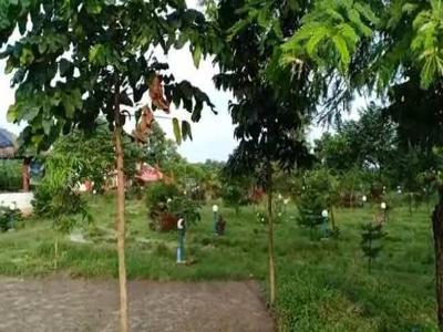 6 BHK Farm House 22 Bigha for Sale in Dooars, Alipurduar
