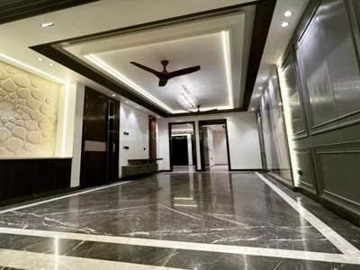 3 BHK Independent Floor for rent in Ashok Vihar, New Delhi - 2500 Sqft