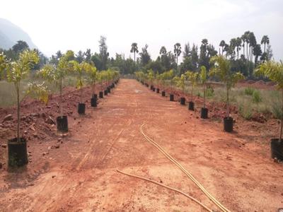 Srikar Green Wood Avenues in Anandapuram, Visakhapatnam