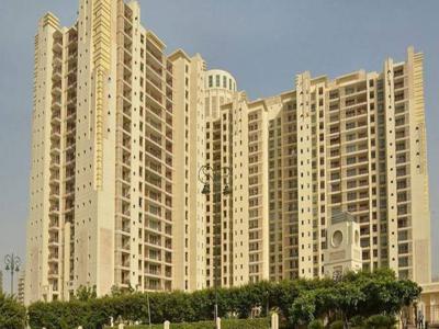 3400 sq ft 4 BHK 4T Apartment for rent in Summit at Golf Course Road, Gurgaon by Agent Sharma Associates
