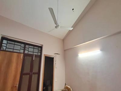 1250 sq ft 2 BHK 2T BuilderFloor for rent in Project at Sector 137, Noida by Agent Shaw Real Estates