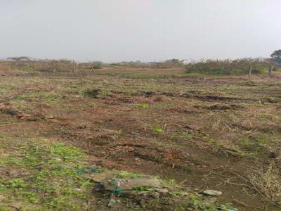 Agricultural Land 8 Guntha for Sale in Roha, Raigad