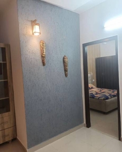 800 sq ft 2 BHK 2T IndependentHouse for rent in Project at Madhapur, Hyderabad by Agent seller