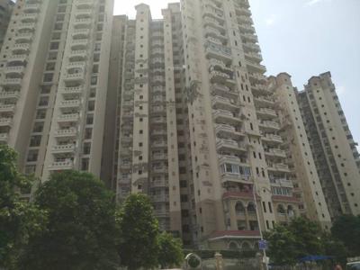 1175 sq ft 2 BHK 2T Apartment for rent in Amrapali Sapphire at Sector 45, Noida by Agent Quickly Deal Infratech