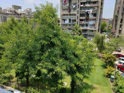 1200 sq ft 3 BHK 2T Apartment for rent in Project at Dallupura, Noida by Agent seller