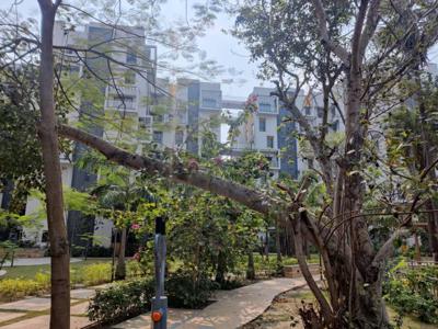 1304 sq ft 3 BHK 2T Apartment for rent in Sugam Habitat at Picnic Garden, Kolkata by Agent Golden Walls Property Management | Goldencyin