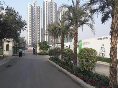 450 sq ft 1 BHK 1T Apartment for rent in DLF Capital Greens at Karampura, Delhi by Agent Pinaki property