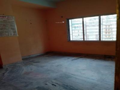 560 sq ft 1 BHK 1T Apartment for rent in Project at south dum dum, Kolkata by Agent Property Nao