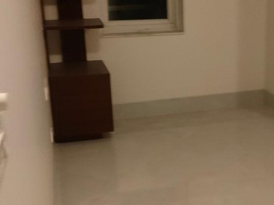 1 Bedroom 50 Sq.Yd. Builder Floor in Mehrauli Delhi