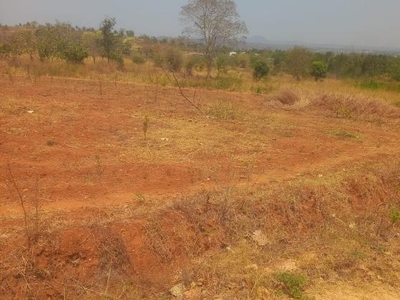 2 Acre Plot in Kanakapura Bangalore