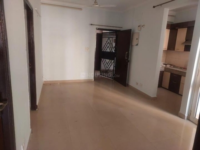 2 BHK Flat for rent in Noida Extension, Greater Noida - 1085 Sqft
