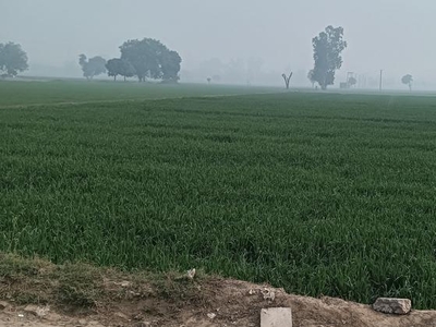 5 Acre Plot in Budhanpur Delhi