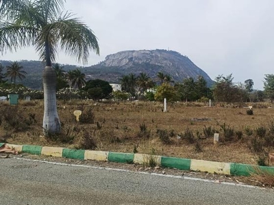 Bhel Nandi View