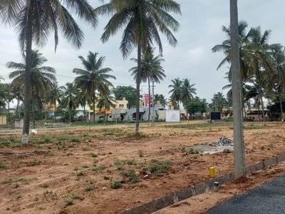 Dodda Aaldha Mara Mysore Road