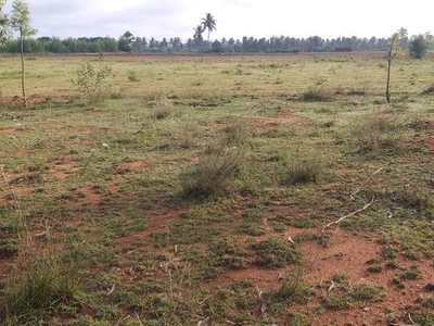 Farm Land Near Chennai Express Highway Near Devanahalli