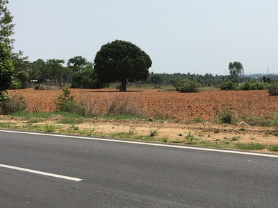 Ssv Converted Land At Devanahalli