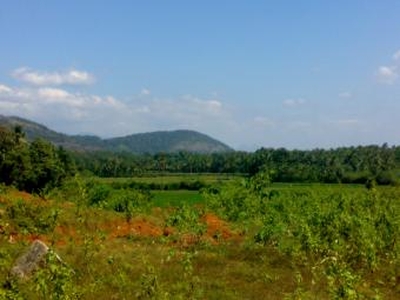 Residential land palakkad For Sale India