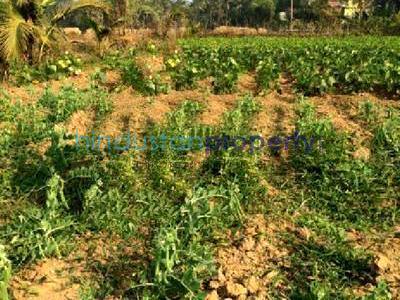 1 RK Residential Land For SALE 5 mins from Gothapatna