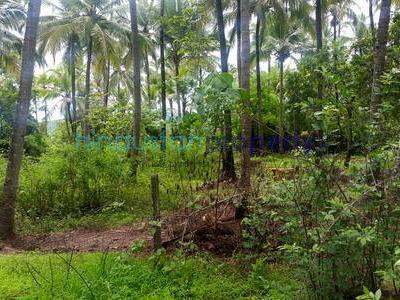 1 RK Residential Land For SALE 5 mins from Loutolim