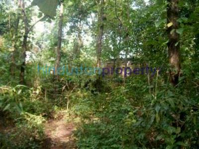 1 RK Residential Land For SALE 5 mins from Loutolim