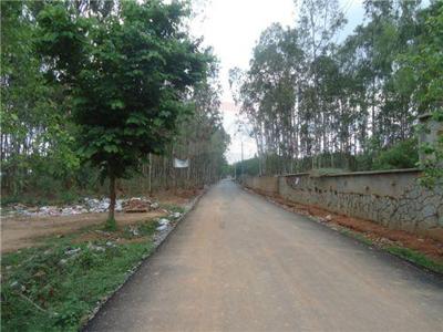 Residential land suitable for ap For Sale India