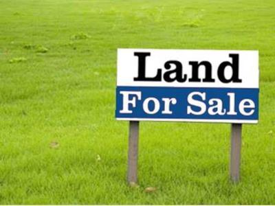 Industrial Land 18000 Sq.ft. for Sale in Phase 4, Gidc,