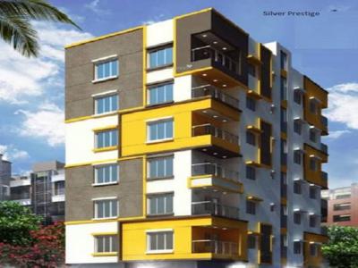 1200 sq ft 3 BHK 2T Apartment for sale at Rs 66.00 lacs in Silver Prestige in Lake Town, Kolkata