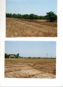 10 acres farm house for sell For Sale India