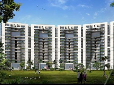 3 BHK Apartment For Sale in Tulip Violet Gurgaon