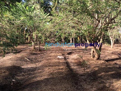 Agricultural/Farm Land For SALE 5 mins from Vasai (East)
