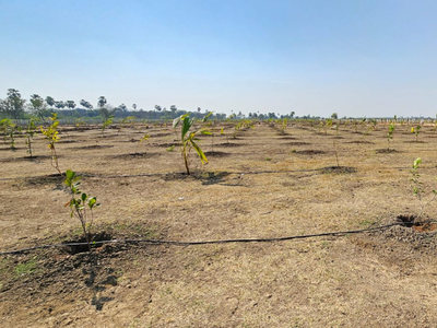 Dhruva Vihaara Farms in Yadagirigutta, Hyderabad