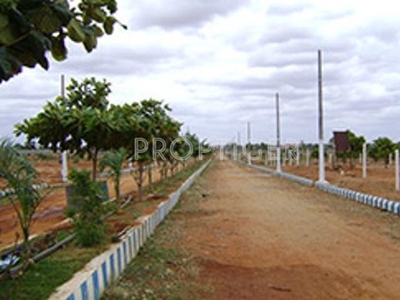 Green Rich Field in Shadnagar, Hyderabad