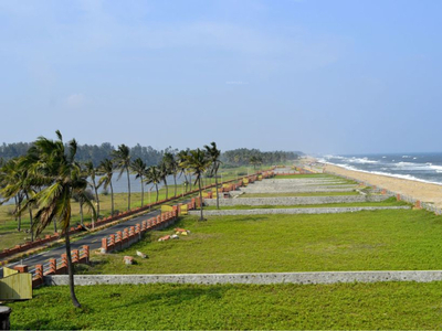 Olive Island in Muttukadu, Chennai