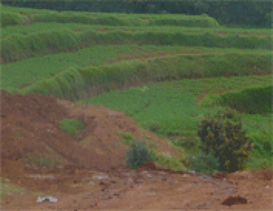 PLOT FOR SALE IN OOTY For Sale India