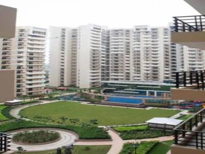 1125 sq ft 3 BHK 3T Apartment for sale at Rs 63.58 lacs in Maan Properties Dream Homes 2 7th floor in Sector 121, Noida