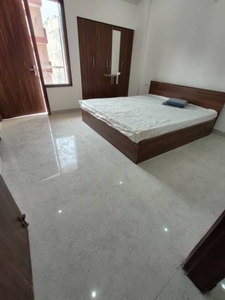 1000 sq ft 2 BHK 2T BuilderFloor for rent in HUDA Plot Sector 42 at Sector 42, Gurgaon by Agent Shiftwave OPC Private Limited