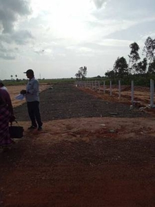 1000 sq ft NorthEast facing Plot for sale at Rs 3.50 lacs in Chengalpattu low budget residential Villa plots Ready for construction in Chengalpattu, Chennai
